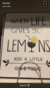 Sanne Østergaard Nissen When Life gives you lemons